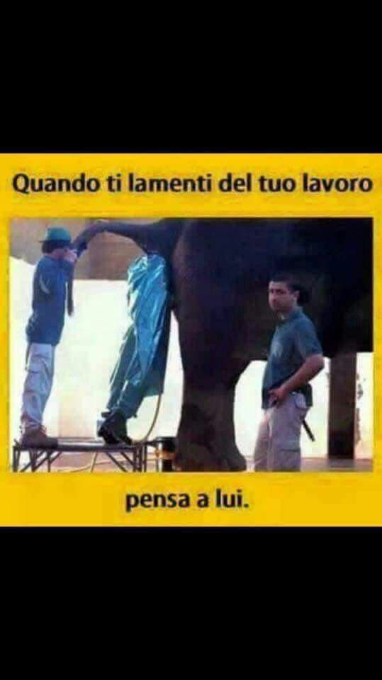 Lamentatevi.......