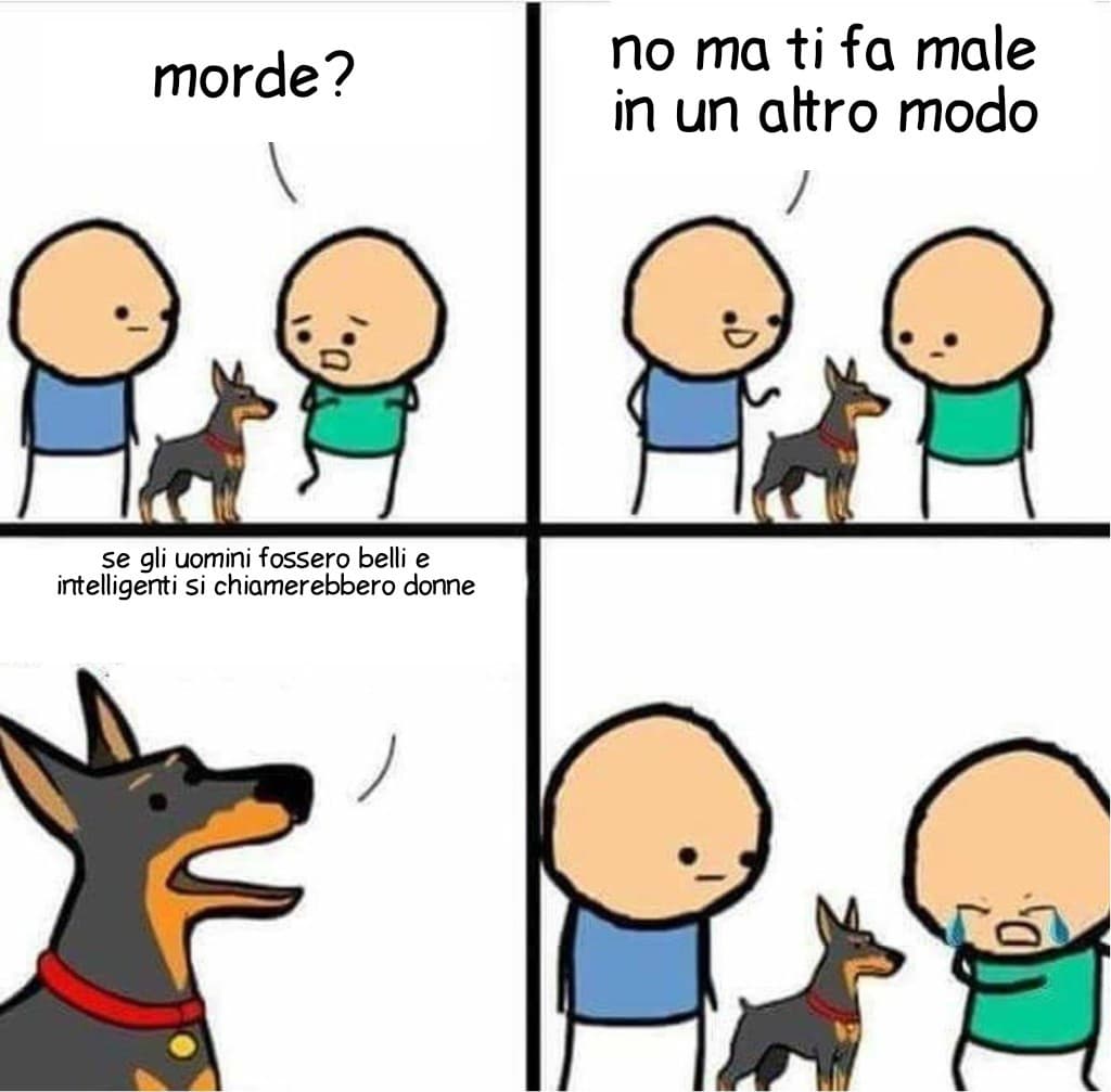 Meme sulle nazifemministe