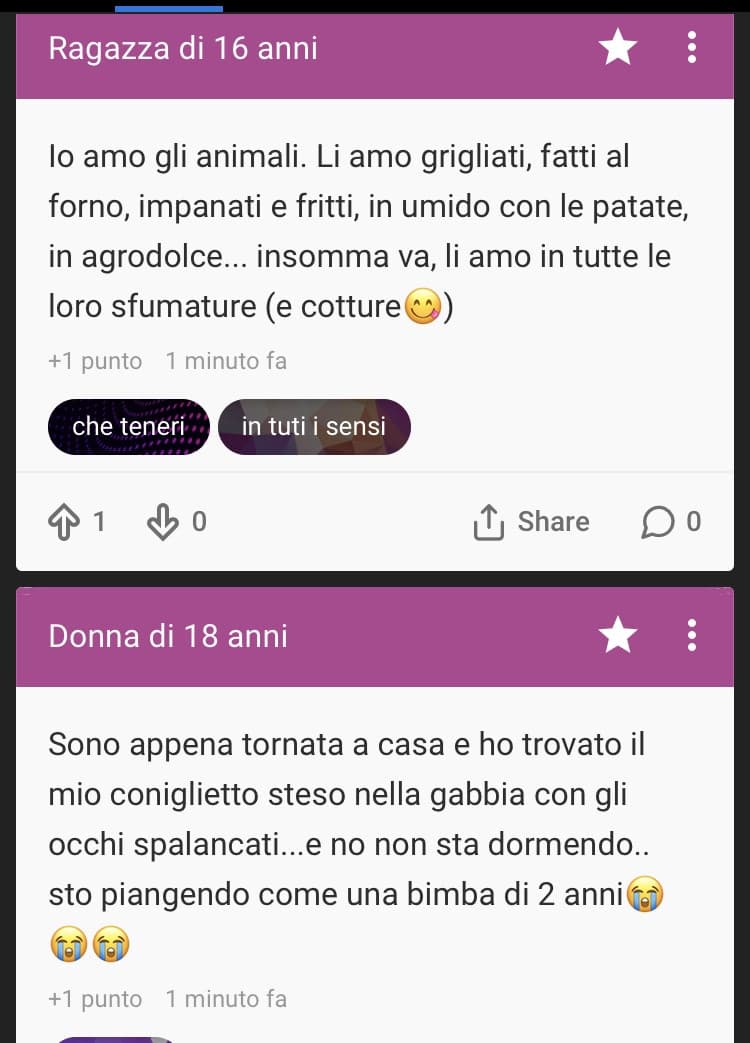 Le coincidenze...quelle drammatiche. Il coniglio morto però è il mio..