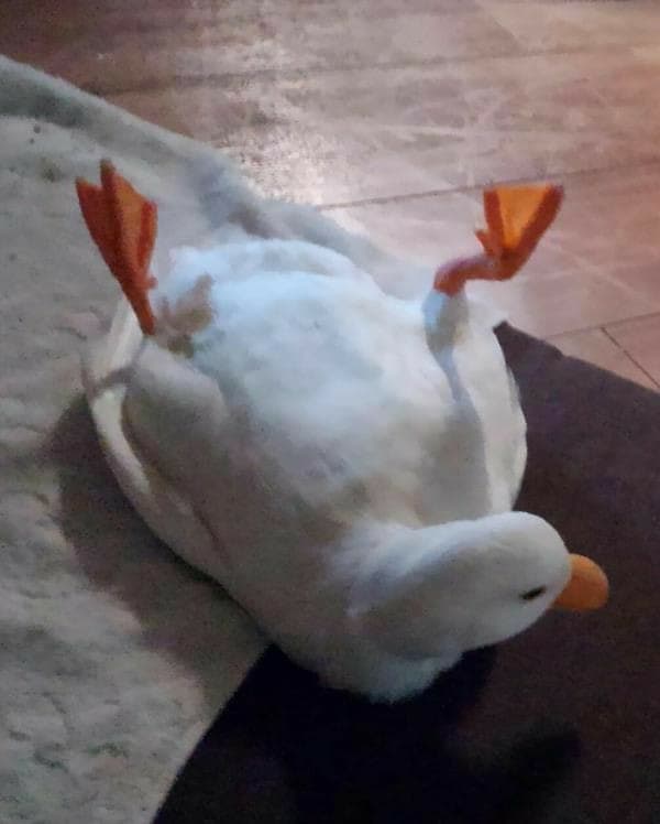 Ho i cojoni talmente girati stasera