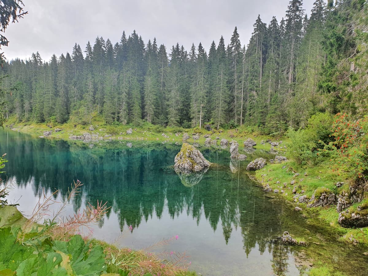 Lago di Carezza in Trentino, ci sono stata prima ma mi si è scarixato il telefono nel mentre ?