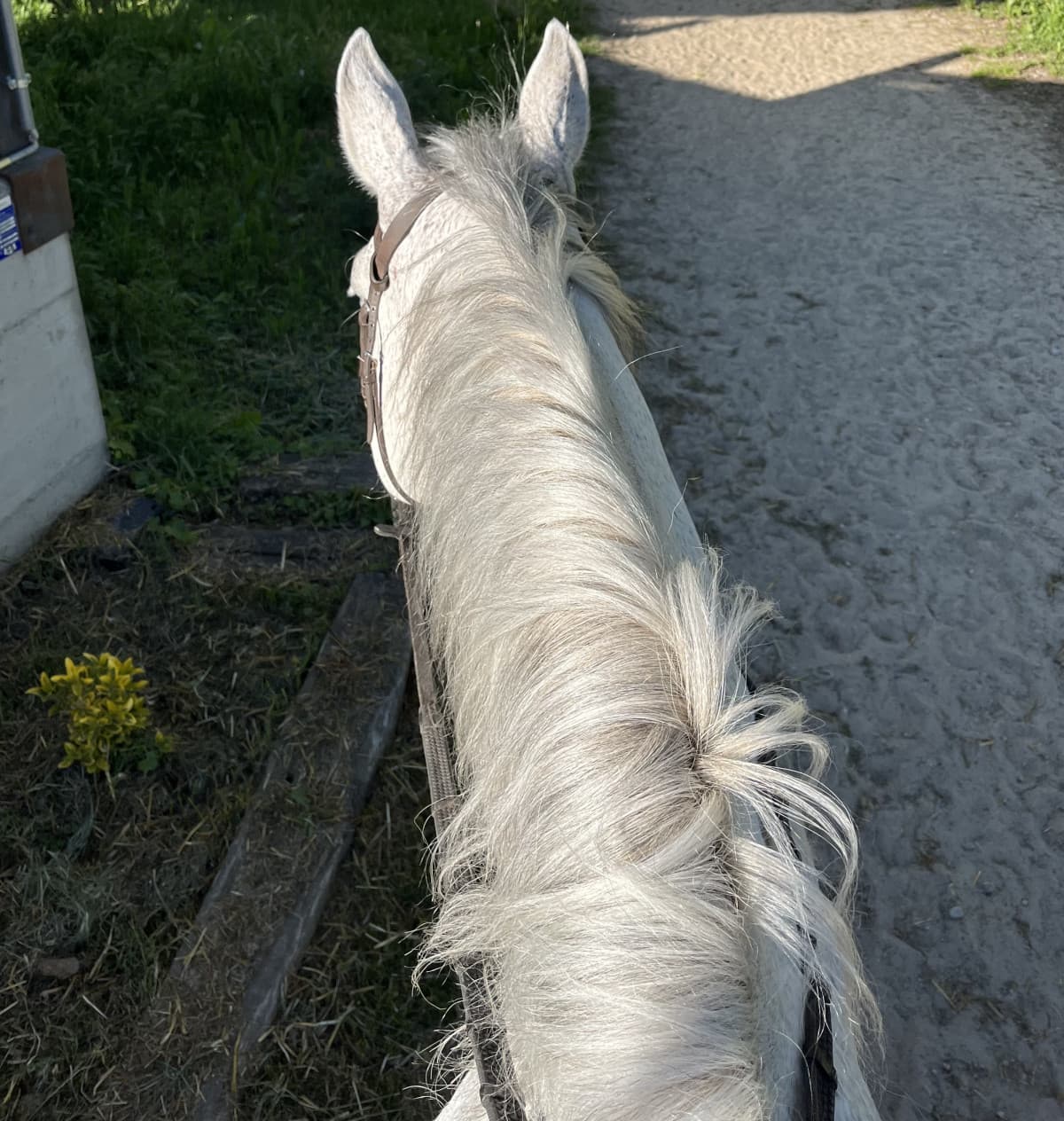 É stato strano saltare a cavallo dopo 2 anni 