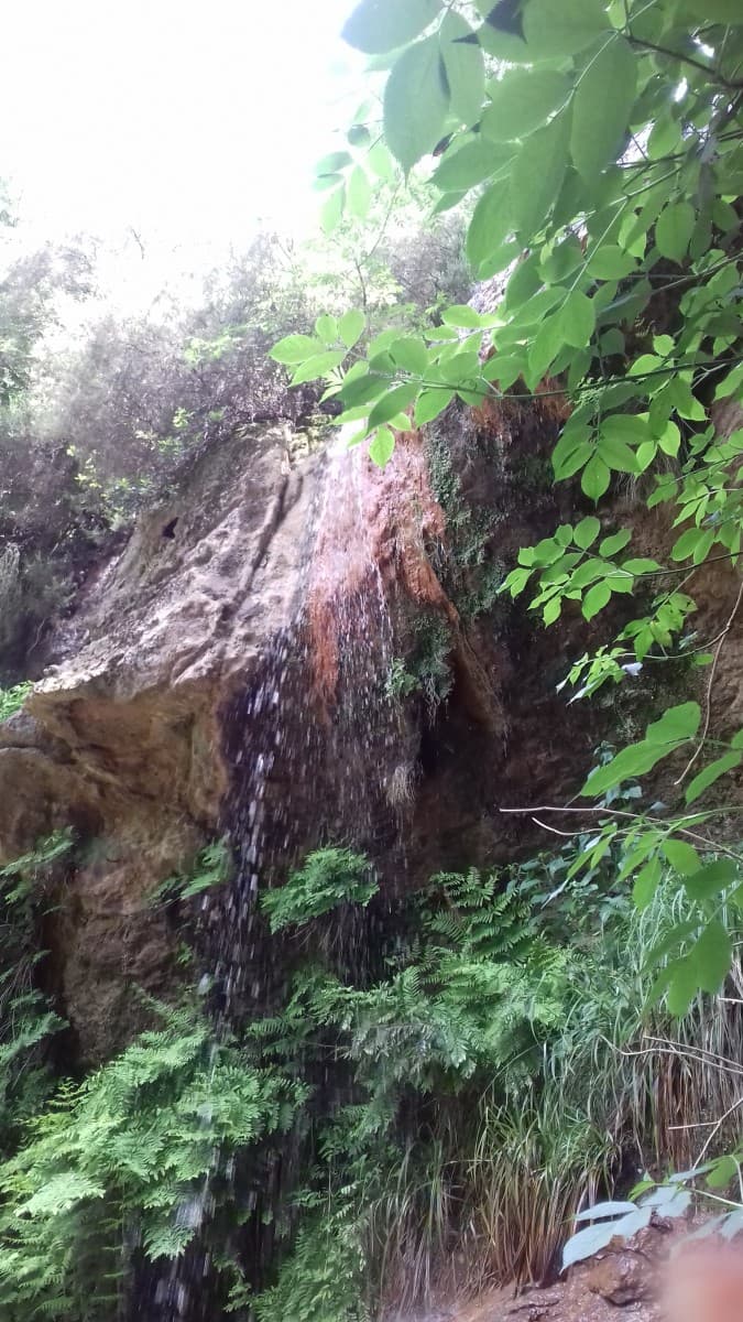 Cascata con acqua "ferrosa" ?