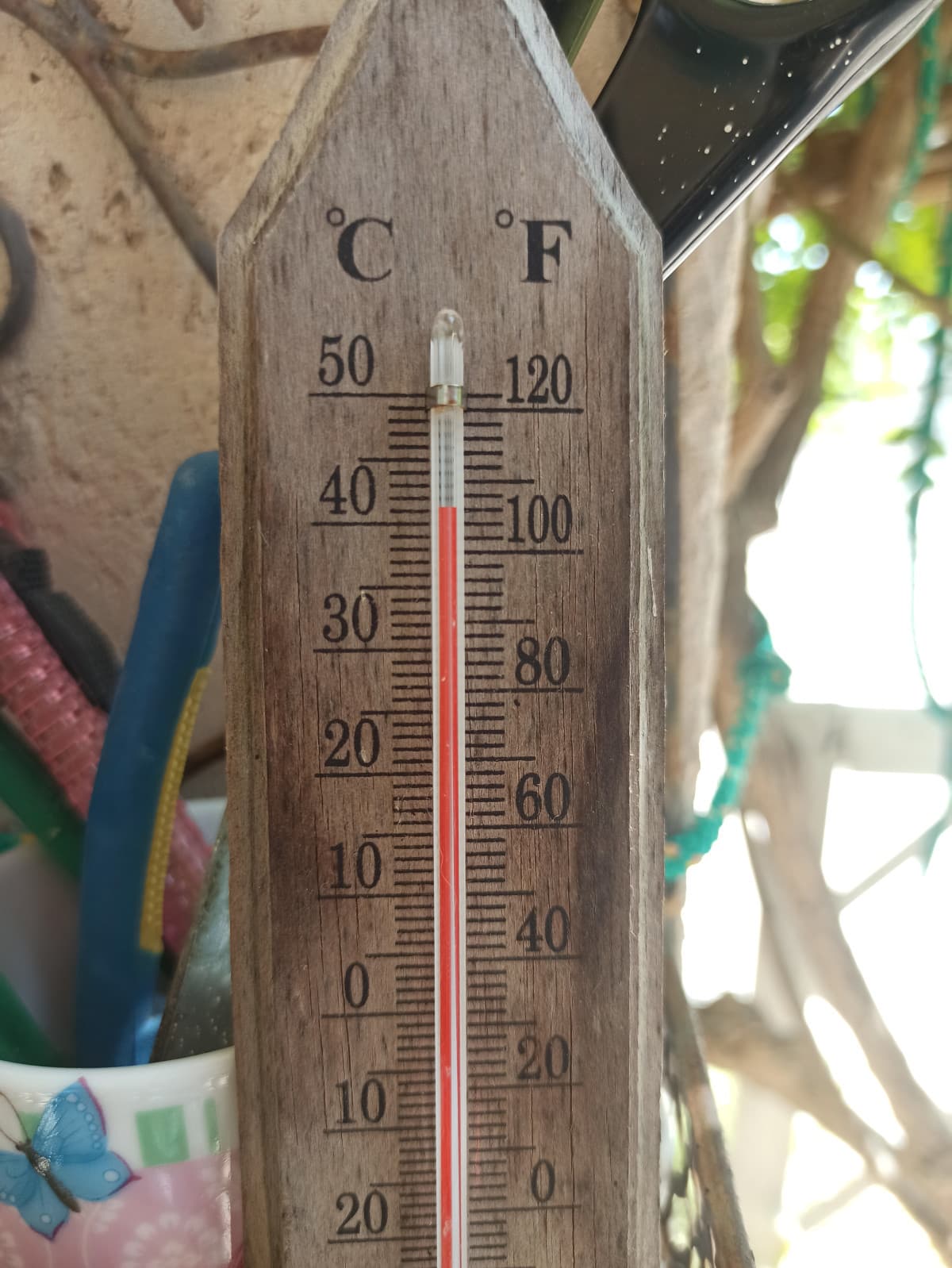 Anche oggi abbiamo piccato a 41°C. Pensavo ci fosse qualche grado in meno, ma a quanto pare il mio corpo si sta abituando a queste temperature. Meglio così, perché il "bello" deve ancora venire 