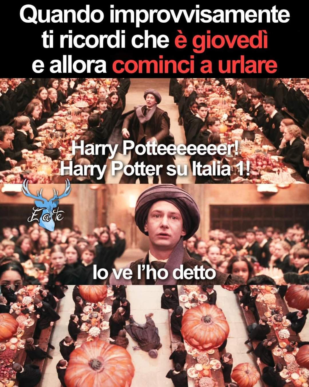 Potterhead all'attaccooo