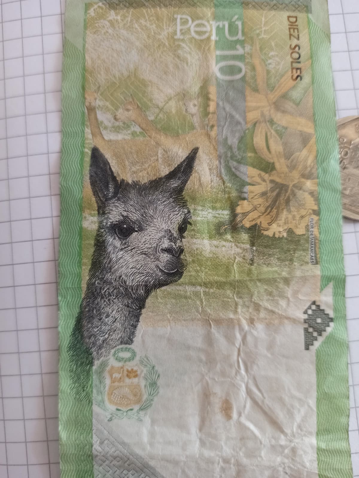 In Perù hanno gli Alpaca sulle banconote