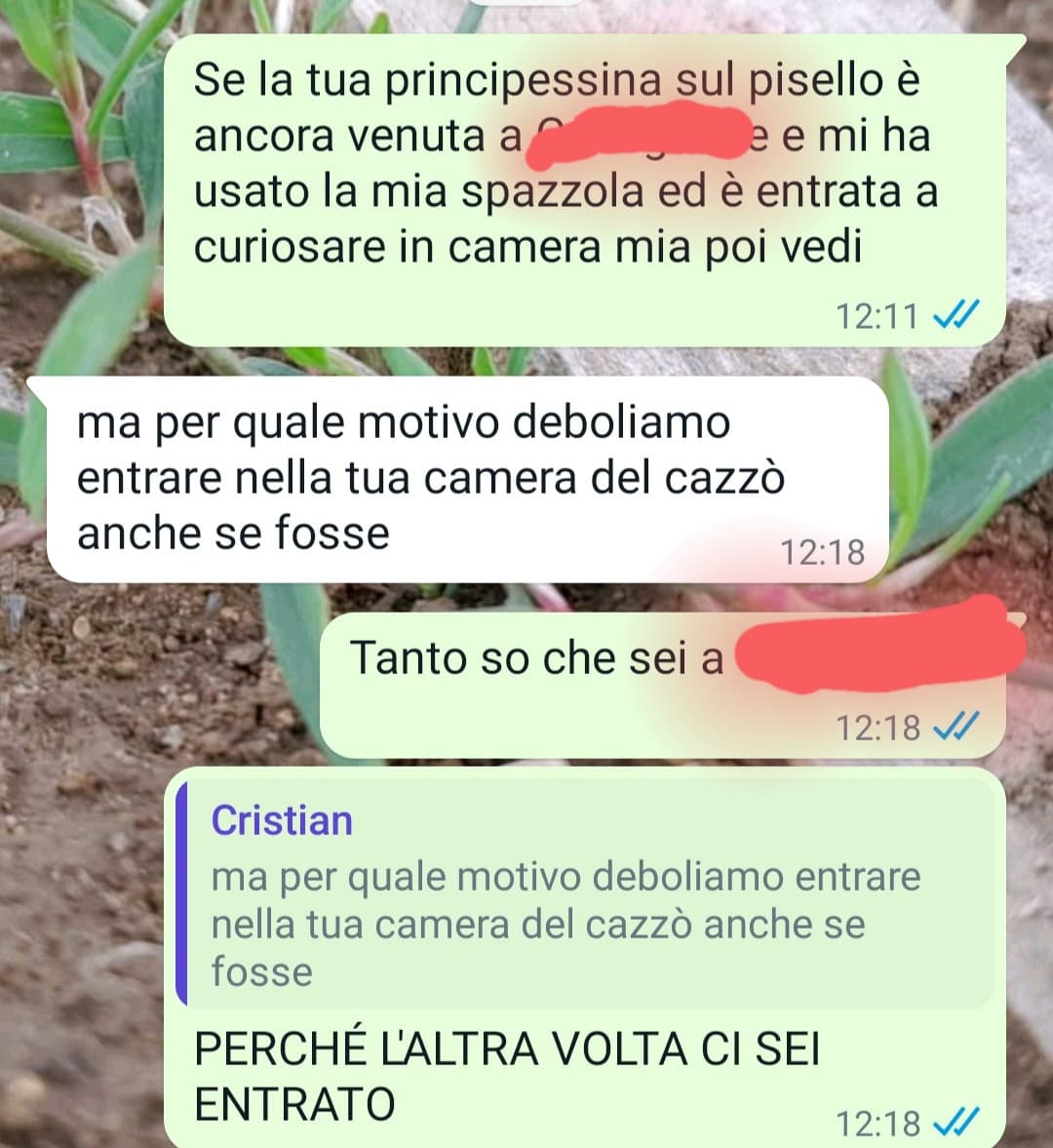 Pov: non conosci la ragazza di tuo fratello ma già ti sta sul cazzo