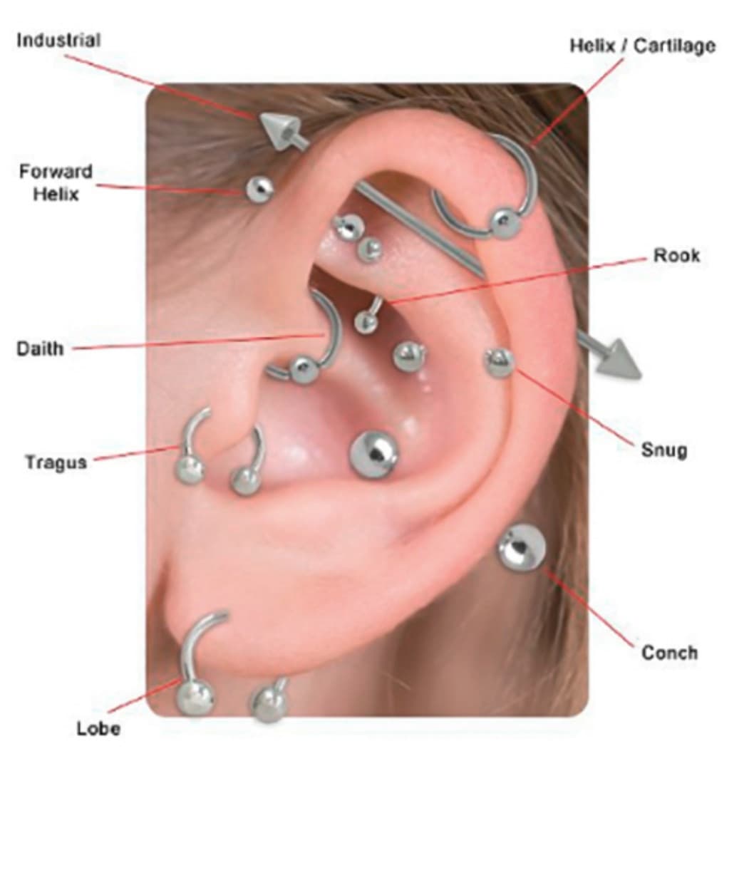 CONSIGLIATEMI PERFAVORE. Vorrei fare il daith, su quale orecchio sta meglio secondo voi in base agli orecchini che ho gia? Ps se qualcuno di voi già lo ha, fa male?