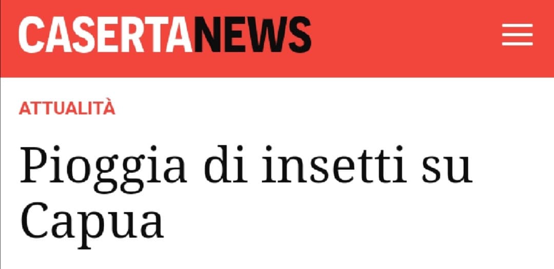 💀se succede nella mia città non esco mai più di casa o mi trasferisco in Messico