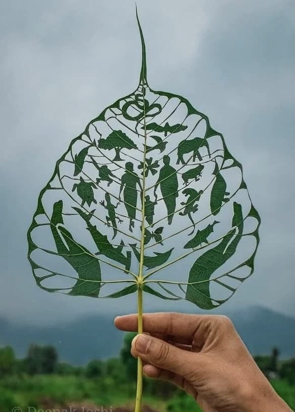 ? Foglia caduta dall’albero della vita ?