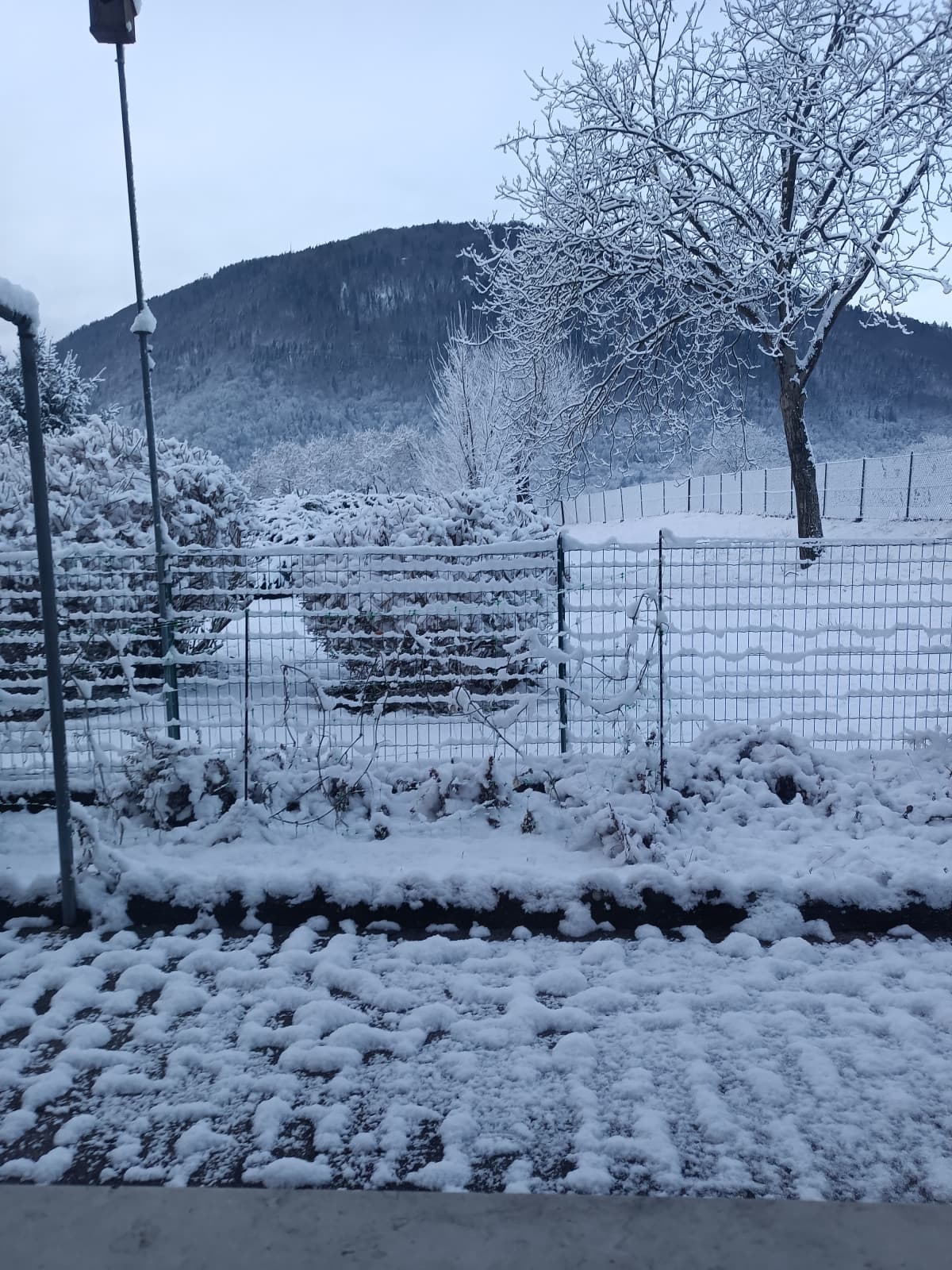 Ho aperto tirato su la tapparella ed ho visto questo, amo la neve 