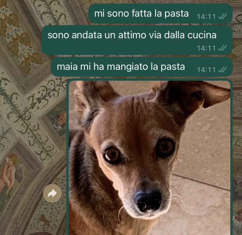 perchè una persona dovrebbe non ricambiare il follow ma guardarti tutte le storie secondo te non me ne accorgo??