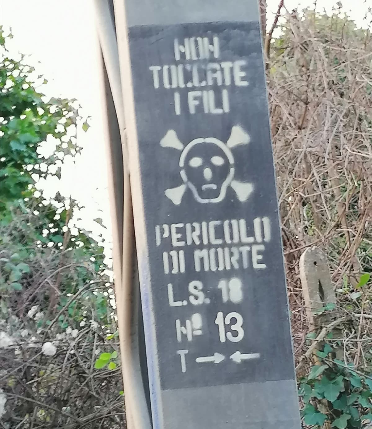 Domani ho il compito di arte e non ho fatto un cazzo (descrizione).