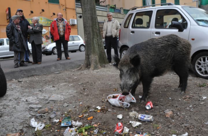 Comunque volevo ricordare a tutti che noi di Genova siamo persone tirchissime, ma proprio super mega tirchie