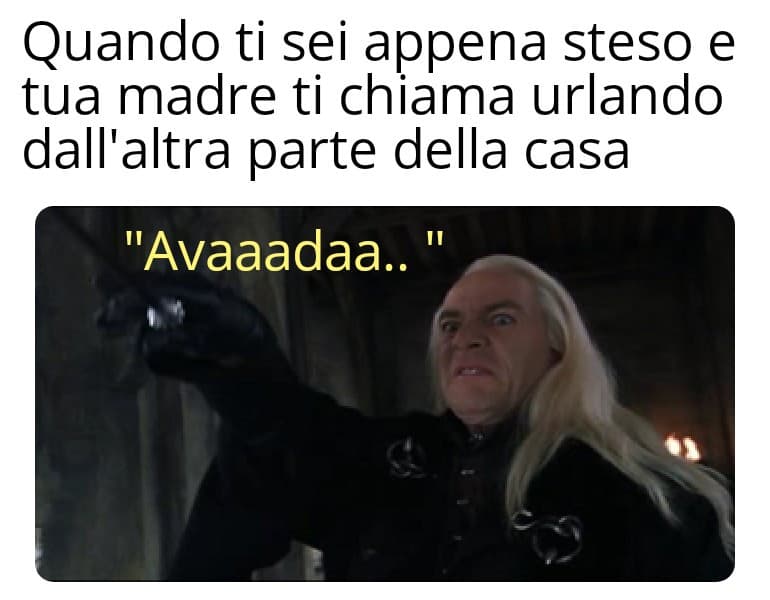 Avada