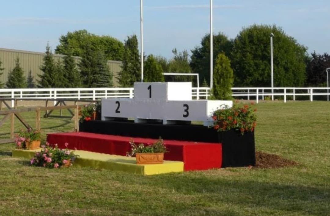 Siete mai stati alla premiazione dei campioni mondiali di nascondino?