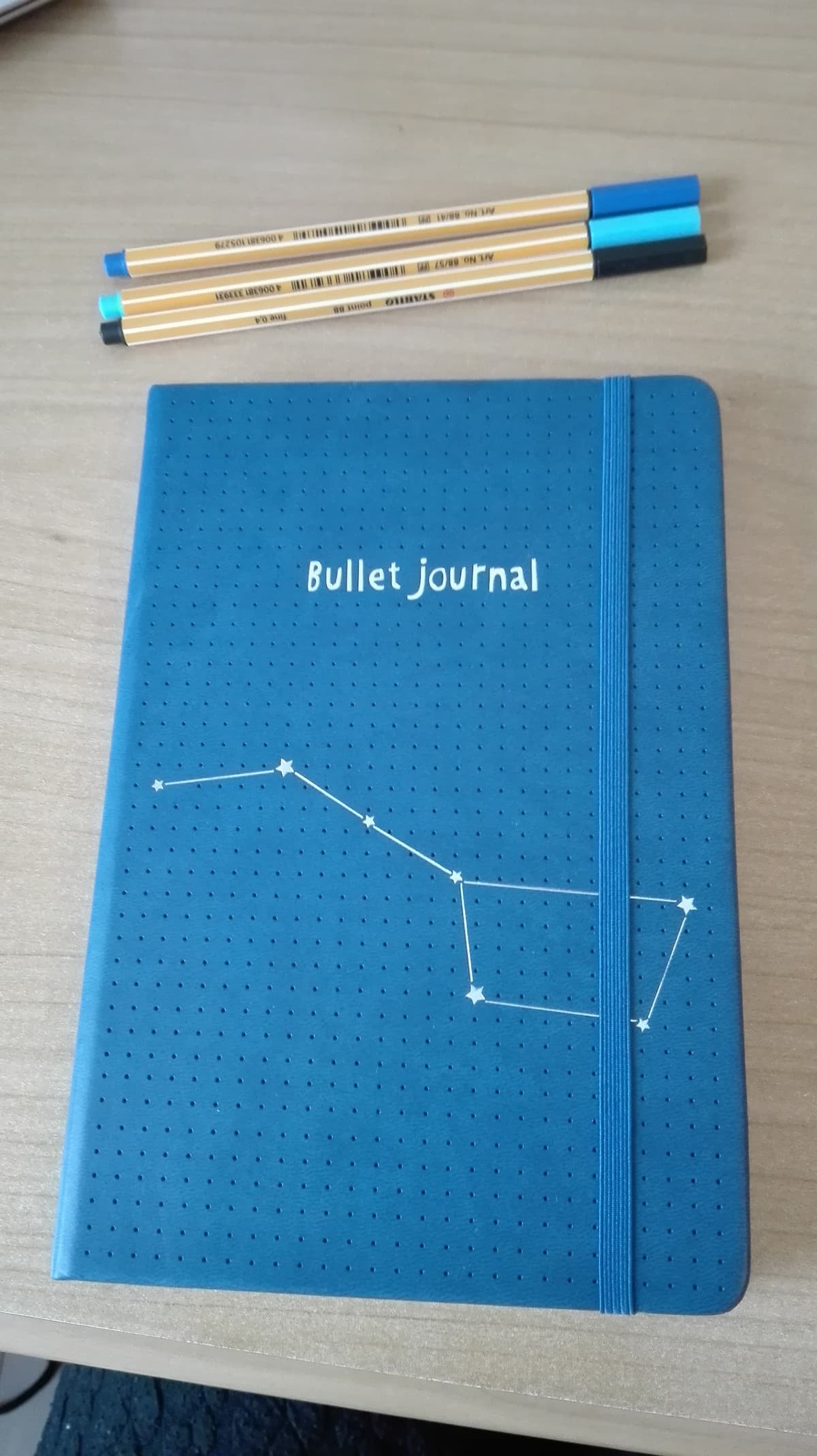 Questo sarà il mio prossimo bullet journal ?????