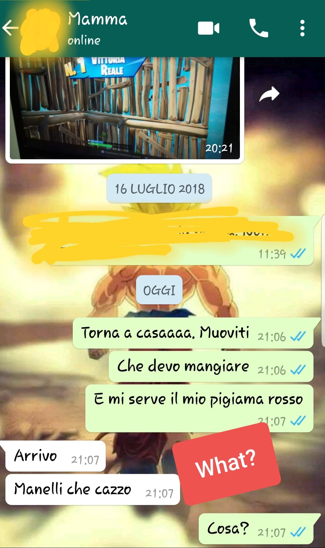 Quando chatti con tua madre e c'è qualquadra che non cosa?. Si, lo screen è reale 