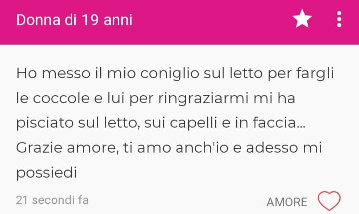 Dicono che marcare il territorio per loro vuol dire dimostrare affetto, perché vogliono sentirsi parte anche loro dei posti dove stiamo