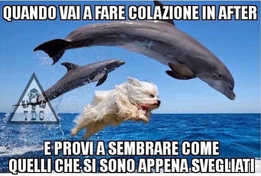 Verissimo AHAHAHAHA 