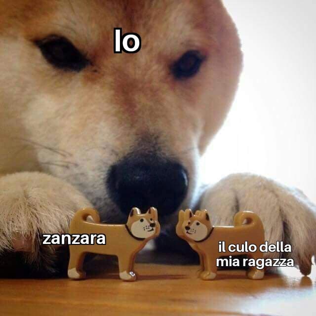 La ammazzo io tranquilla