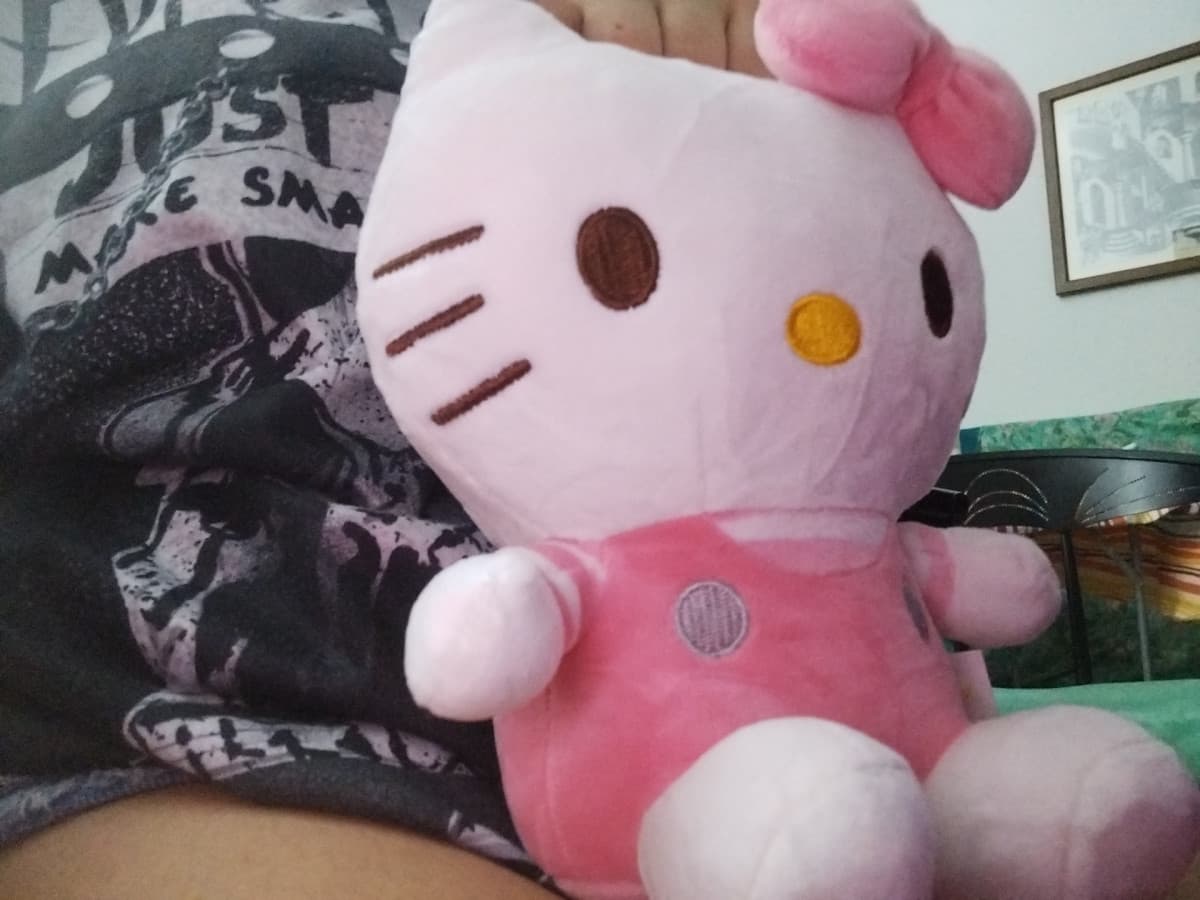 l'ossessione per hello kitty che non passerà mai 😻