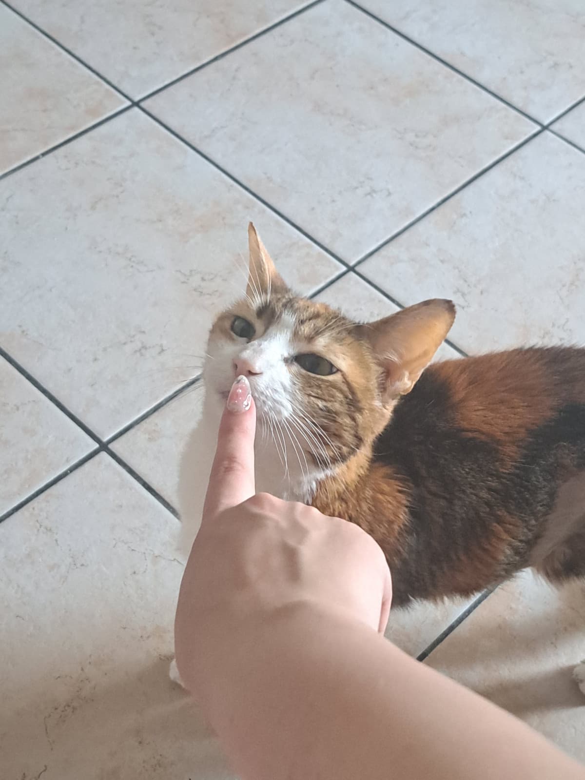 Boop