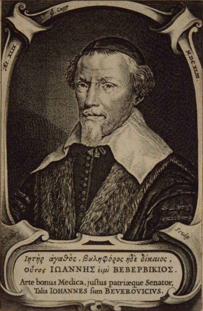 Johan van Beverwijck