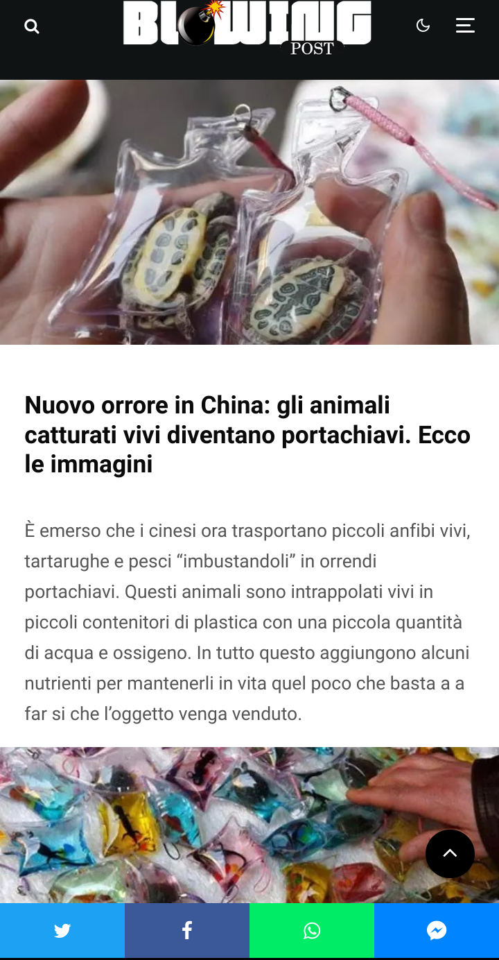 Dimmi che il mondo sta andando a ******** senza dirmelo: