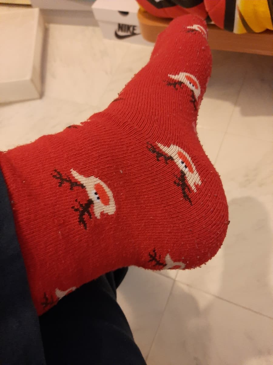 Qualche giorno fa mia madre mi ha comprato queste calze, ma quanto sono belle