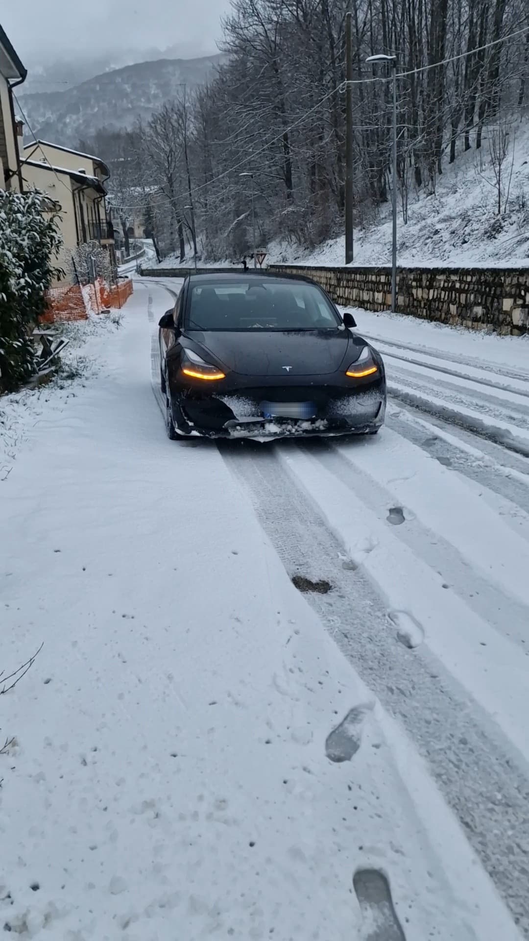 Buona pasqua❌️ Buon Natale✔️