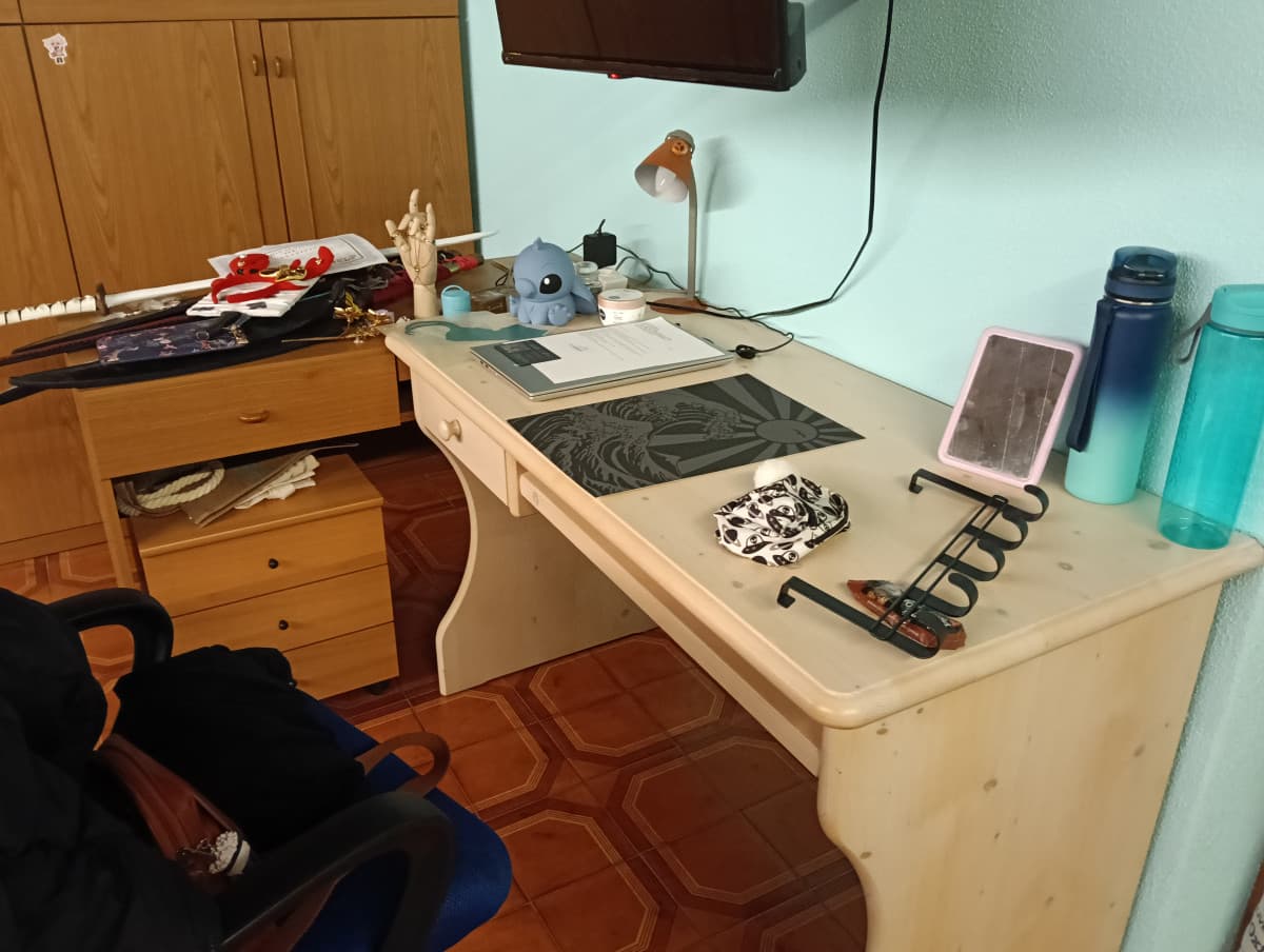 Niente volevo farvi vedere camera mia