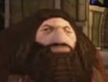 Ps1 hagrid 