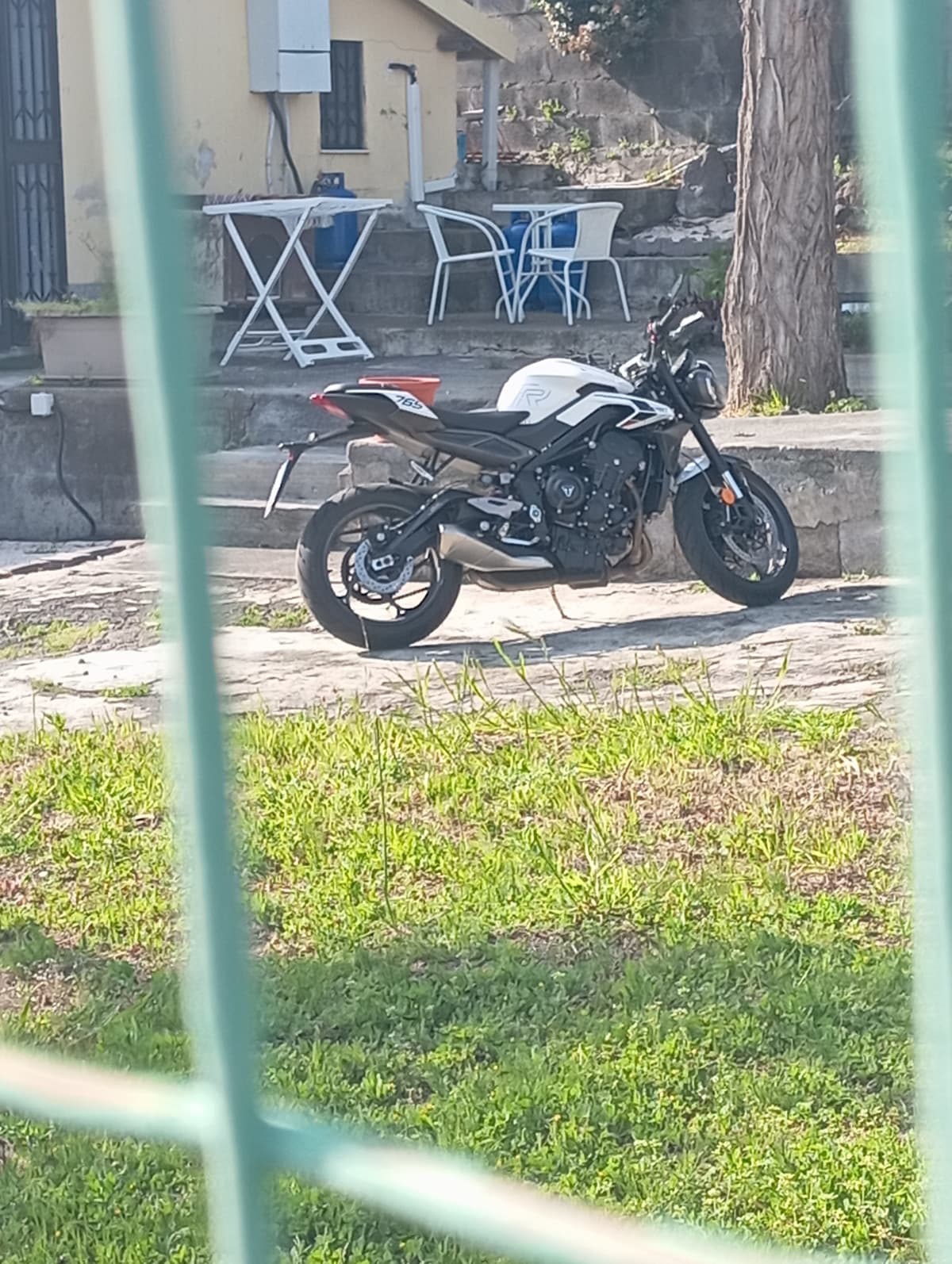 mi ha scritto una tipa stamattina