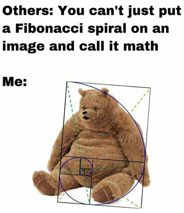 NON PUOI DECIDERE SU COSA USARE LA SPIRALE DI FIBONACCI, MAMMA! 