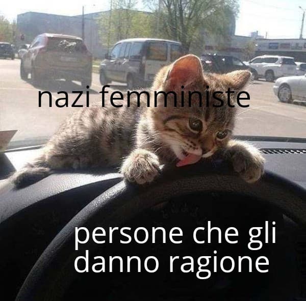 meme a caso per testare un pò il template