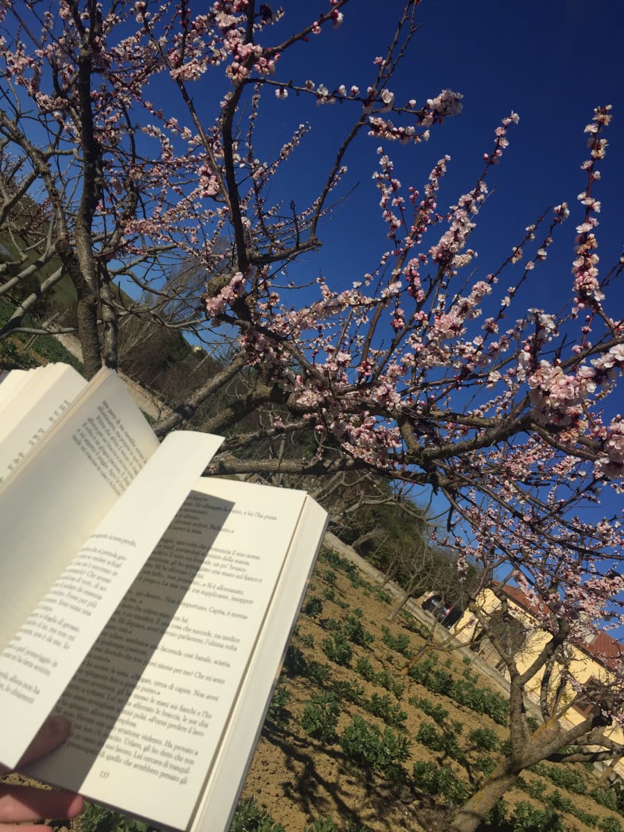 “Non c’è svago migliore della lettura. Si finisce per stancarsi di tutto, ma mai di un buon libro.”