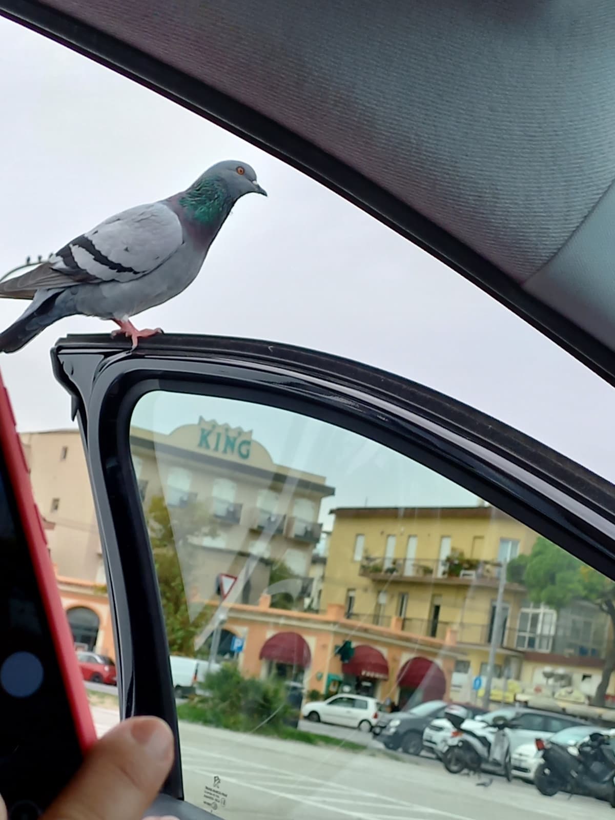 giuro che sembra stupido,ma fa male sentire tua mamma dire che hai rotto il cazzo e la devi lasciare in pace mentre tu cercavi solo di coinvolgerla un pochino a tavola