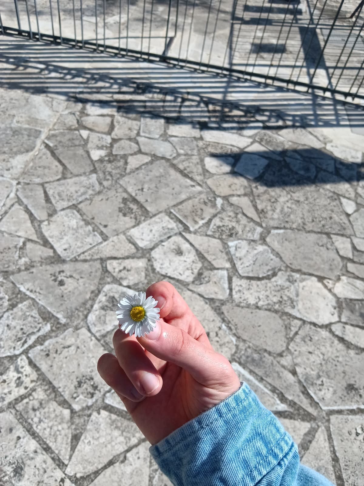 È primavera, svegliatevi bambine!