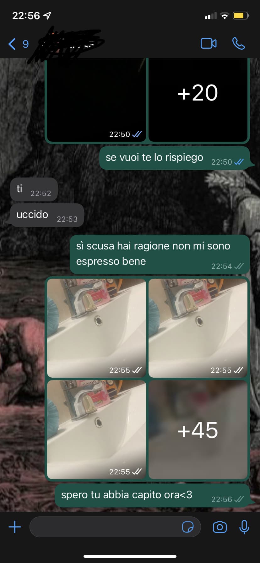 irene: "ho la galleria piena di foto tue perché mi si salvano da sole e non so come disattivare quella roba" io: "aspe se vuoi ti spiego come si fa"