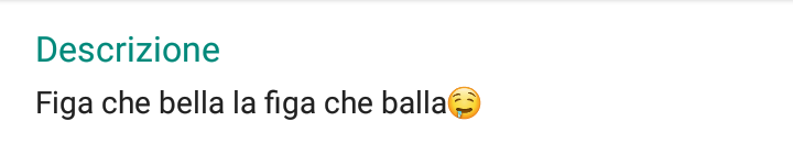 Ed ecco la descrizione del gruppo della classe