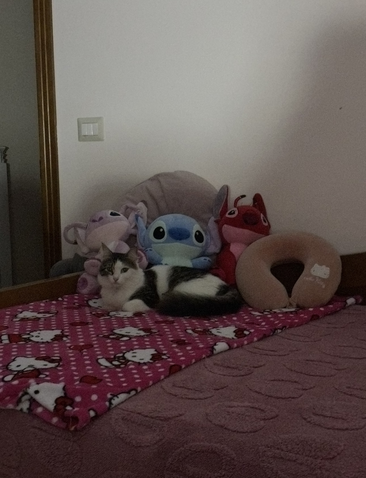 TUTTI I MIEI PELUCHE