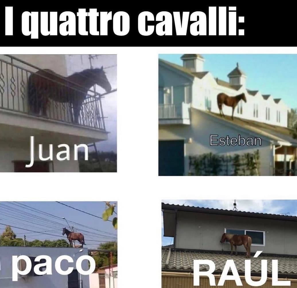 I quattro cavalli dell'apocalisse 