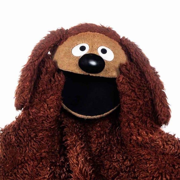 GIORNO 1 ALLA RICERCA DI FAN DEI MUPPET