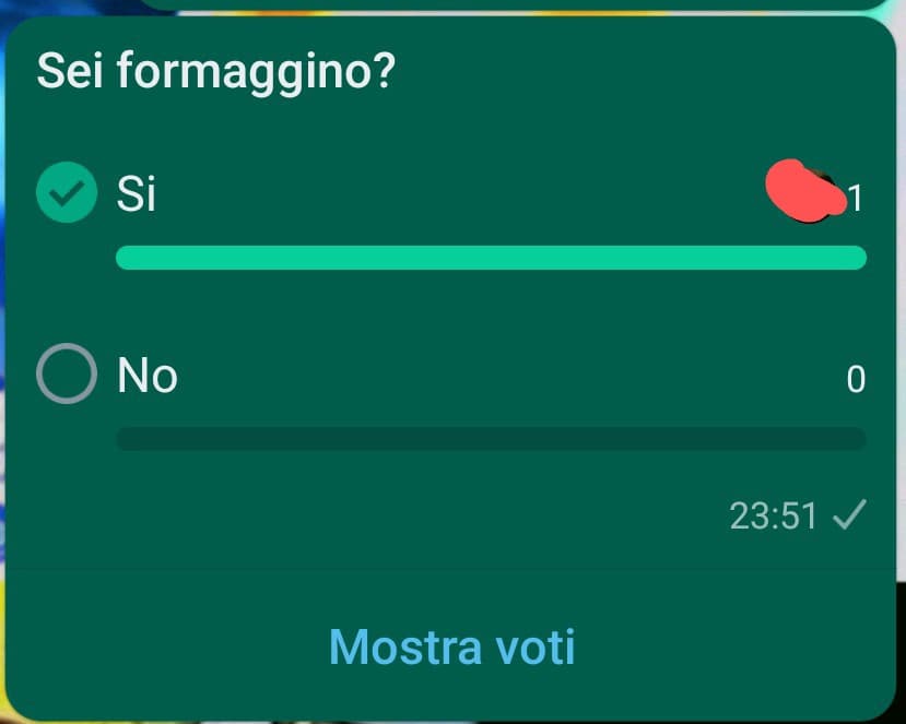 Io che imparo a fare I sondaggi su whatsapp 