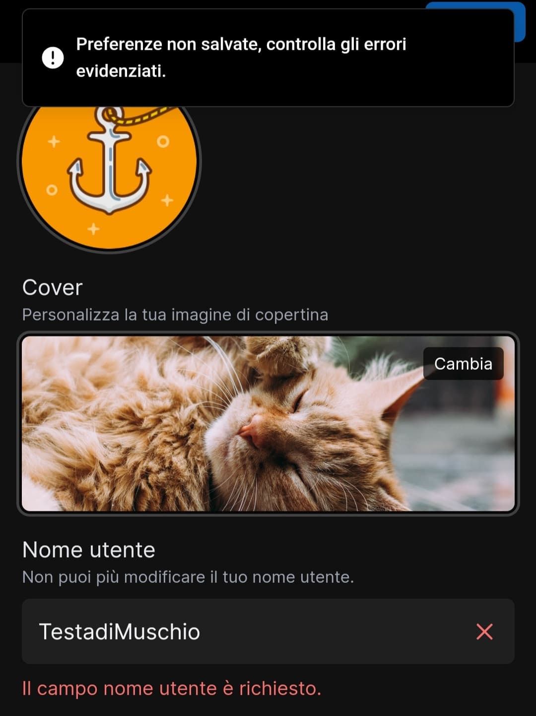 Ma anche a voi fa così? Non mi fa cambiare la bio