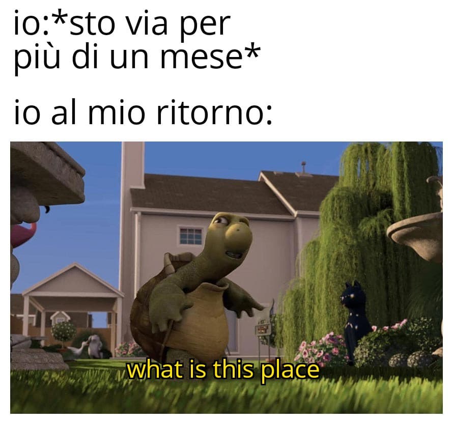 Ma cosa sto vedendo 