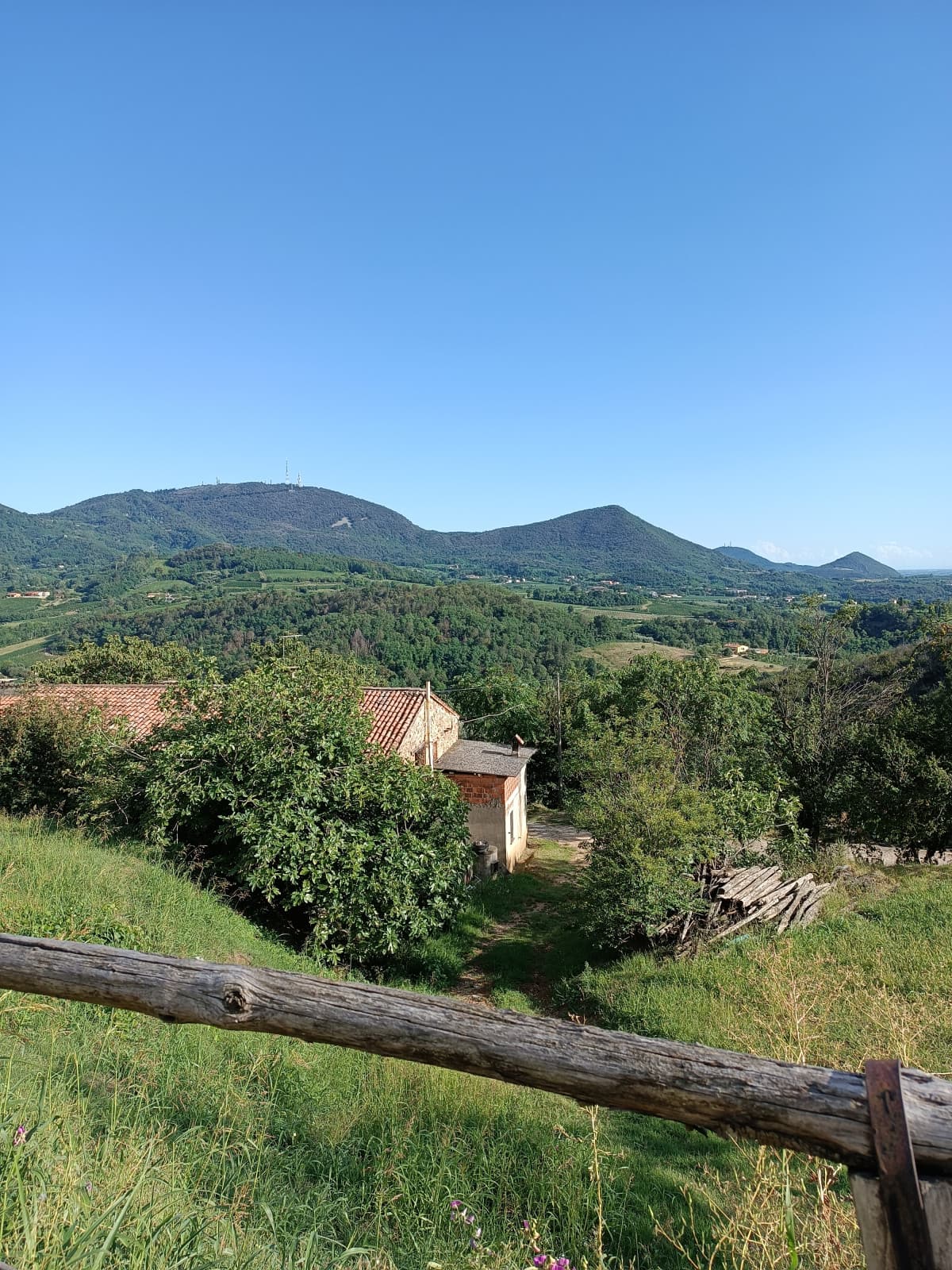 Primo shout che pubblico :)
Questi sono i colli ^⁠_⁠^