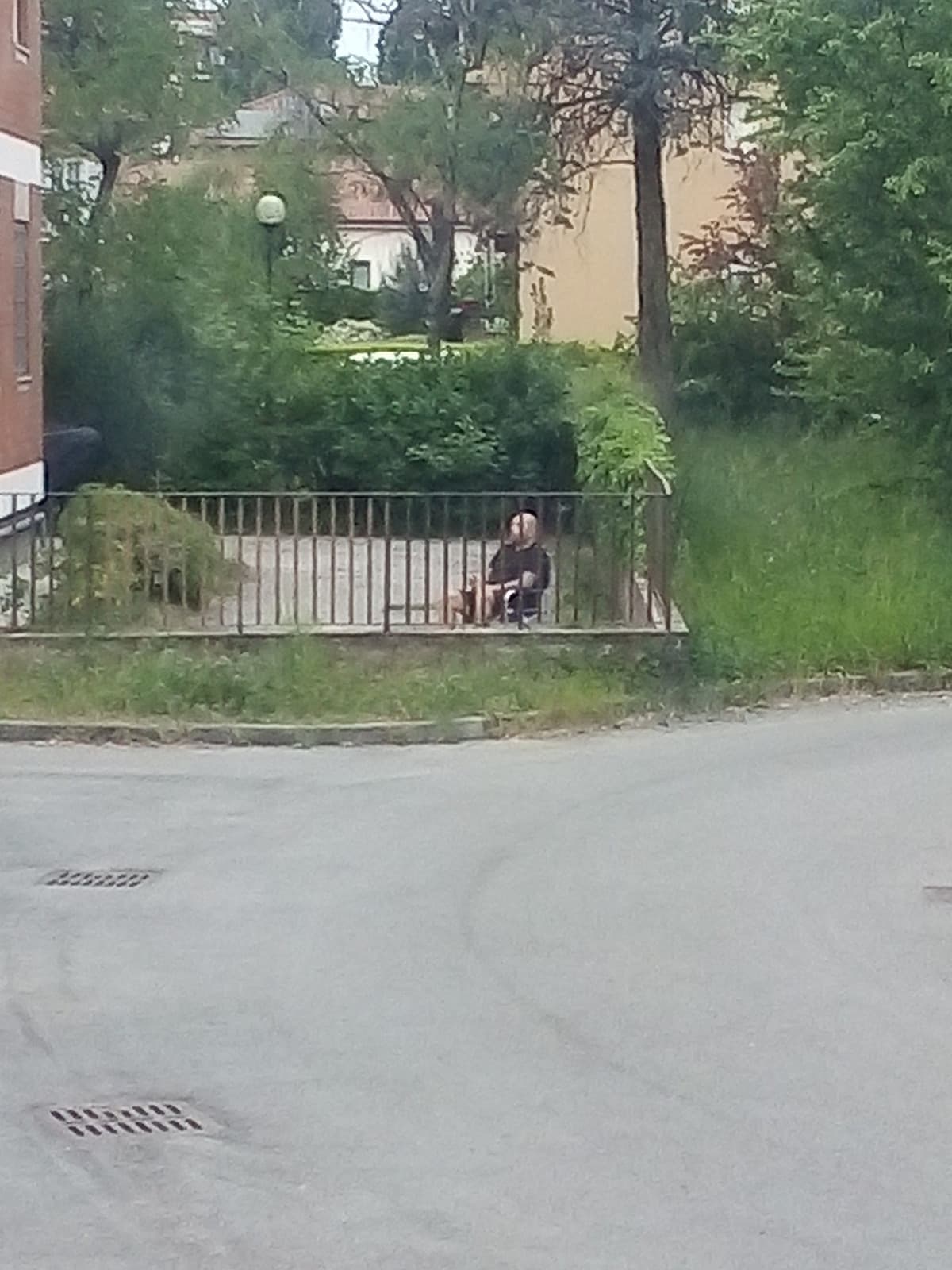 Il mio vicino di casa ha deciso di prendere un po' d'aria portando la sedia in cortile. Geniale! 