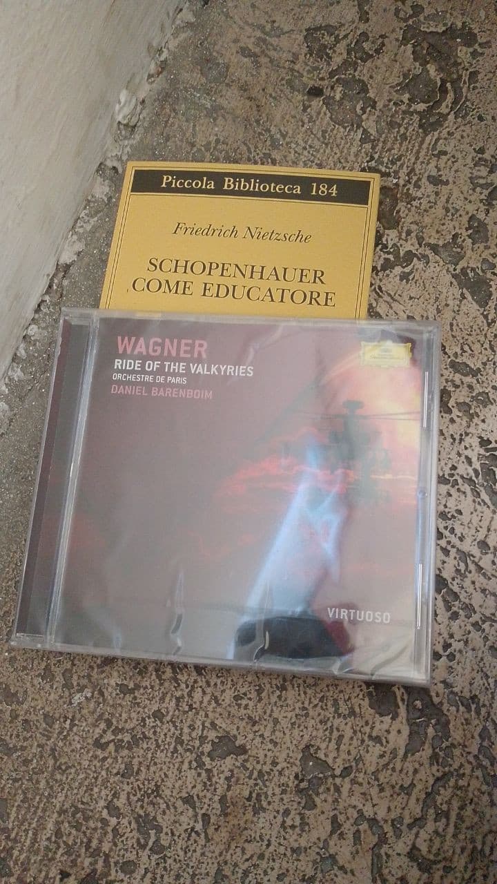 la mia amica: basta Schopenhauer leggiti uno young adult quello che vuoi ma CAMBIA

Io: va bene che ne pensi di questo